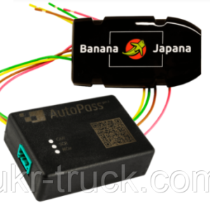 Auto Pass /Banana Japana Scania 6 серии NTG Euro 6