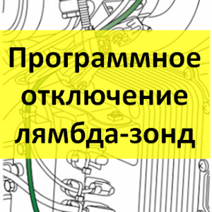 Программное отключение лямбда-зонд